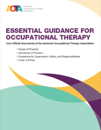 Image for Essential Guidance for OT: Core Official Documents