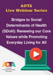 Image for Bridges to Social Determinants of Health (SDoH): Renewing our Core Values while Promoting Everyday Living for All